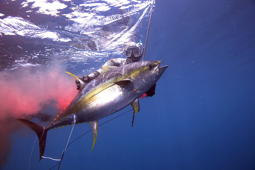 Freediver in California coastal waters