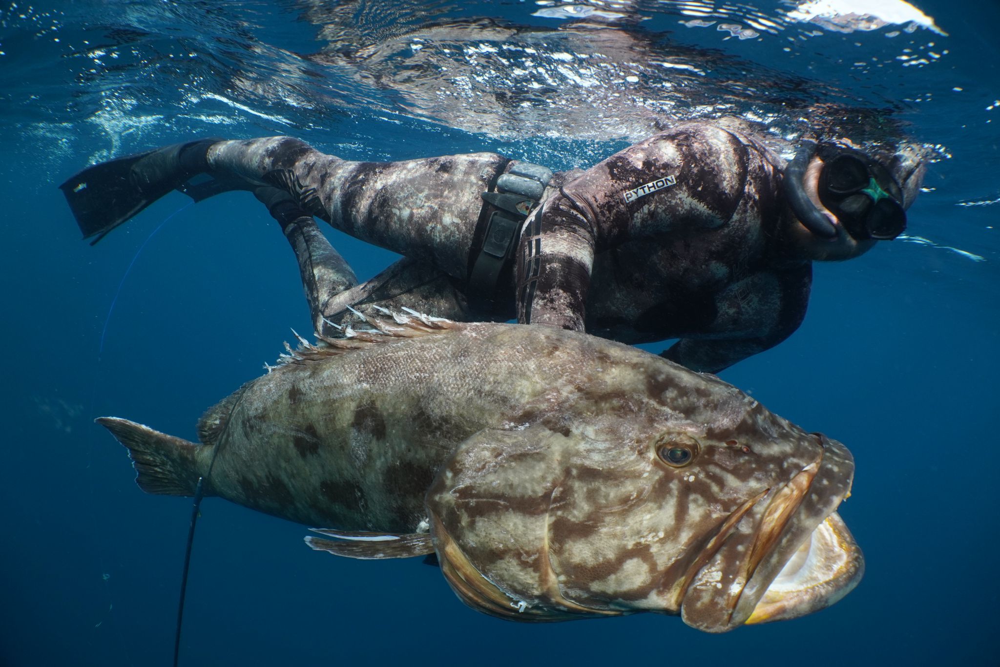 California spearfishing in coastal waters
