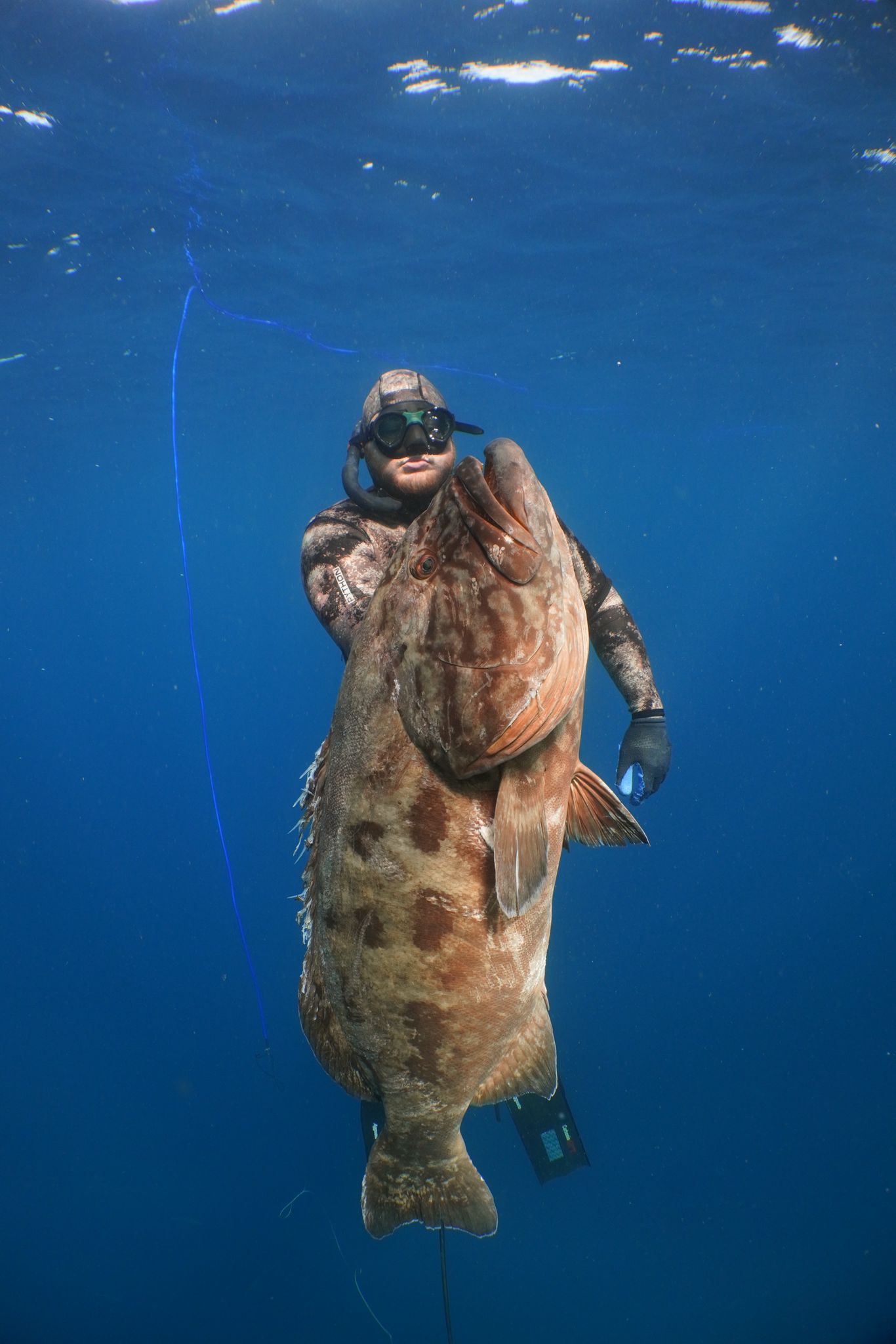 Watermen's Alliance member diving in California waters