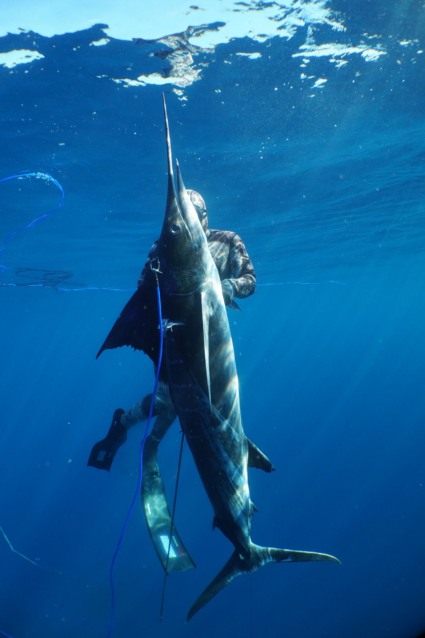 Watermen's Alliance member in California ocean